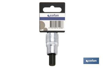 1/4" screwdriver bit socket | High-quality chrome-vanadium steel | With Allen tip of H8 - Cofan