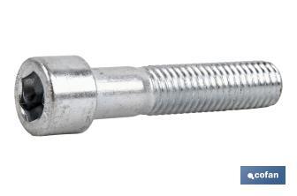 SCREW DIN 912 C.8.8 ZINC-PLATED - Cofan