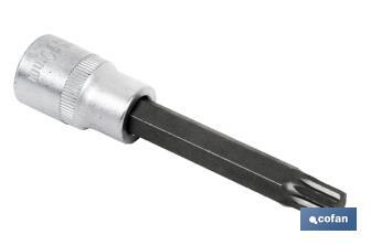 Llave de vaso de 1/2" | Fabricada en acero al cromo vanadio de alta calidad | Con punta larga Torx 55 - Cofan