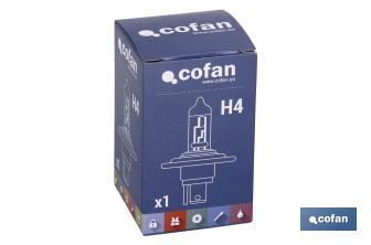 H-4 - Cofan