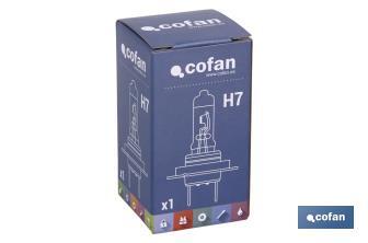 H-7 - Cofan