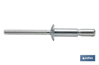 Structural steel rivets with dome head - Cofan