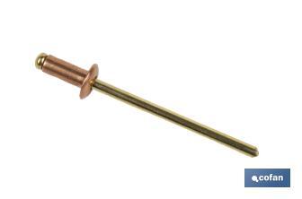 Rivets cuivre - bronze - Cofan