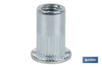 Steel slotted wide head rivet nuts - Cofan