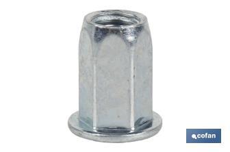 Steel "hexagonal" wide head rivet nuts - Cofan