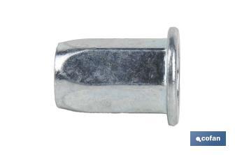 Steel "hexagonal" wide head rivet nuts - Cofan