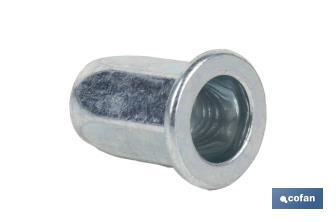 Steel "hexagonal" wide head rivet nuts - Cofan