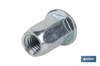 Steel "hexagonal" wide head rivet nuts - Cofan