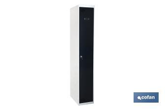 Initial single-door locker | Steel | Colour: grey | Size: 180 x 30 x 50cm - Cofan