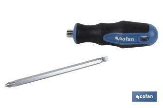 Double ended stubby Phillips and slotted screwdriver PH2 | Available lengths in 38 and 100mm | Ø6mm shank - Cofan