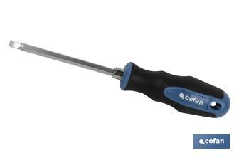 Double ended stubby Phillips and slotted screwdriver PH2 | Available lengths in 38 and 100mm | Ø6mm shank - Cofan