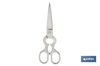Tijeras de pescado | Adecuadas para uso profesional | Hojas de acero inoxidable | Longitud: 21 cm | Ideales para corte preciso de alimentos - Cofan