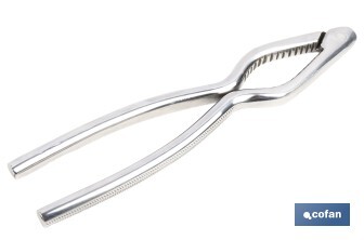 Cascanueces de acero inoxidable | Adecuado para frutos secos | Material: Acero inoxidable AISI 420 | Longitud: 18 cm - Cofan