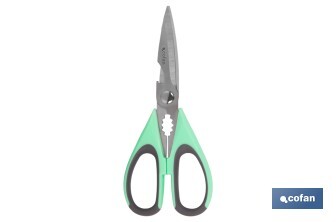 Ciseaux Multi-usages | Fabriqués en Acier Inox. | Modèle Sena | Couleur Vert Clair ou Violet | Longueur 22 cm - Cofan