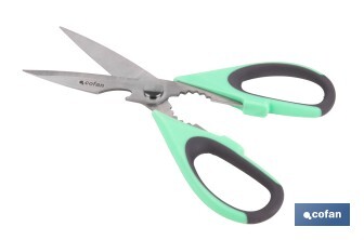 Ciseaux Multi-usages | Fabriqués en Acier Inox. | Modèle Sena | Couleur Vert Clair ou Violet | Longueur 22 cm - Cofan