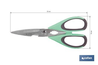 Ciseaux Multi-usages | Fabriqués en Acier Inox. | Modèle Sena | Couleur Vert Clair ou Violet | Longueur 22 cm - Cofan