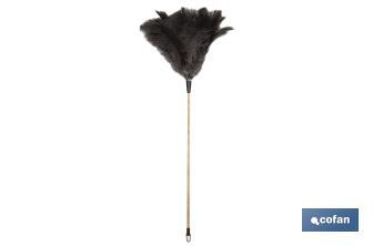 Ostrich Feather Duster & Wooden Handle - Cofan