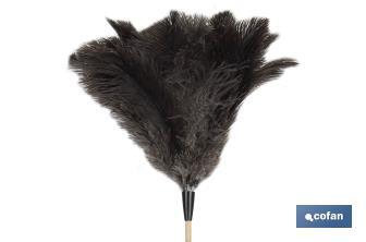 Ostrich Feather Duster & Wooden Handle - Cofan