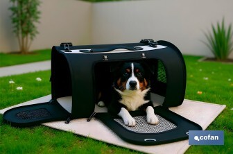 Sac de Transport pour Animaux de compagnie | Dimensions : 43 x 25 x 29 cm | Couleur Noir et argent - Cofan