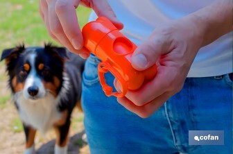 Set d'accessoires pour Chiens | Boîte avec 7 éléments | Accessoires quotidiens pour animaux de compagnie - Cofan