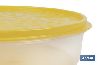 Round lunch box for potato omelette | Available in three colours | Size: 24.5 x 6.5cm - Cofan