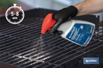 Limpiador desengrasante para barbacoas | Ideal para grills, parrillas y planchas | Capacidad: 750 ml - Cofan