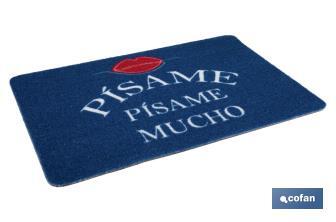 Paillasson d'entrée "Pisame" | Approprié pour l'intérieur et l'extérieur | Matériau résistant | Base antidérapante | Dimensions : 40 x 60 cm - Cofan