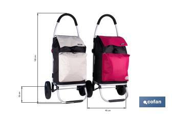Carro de la compra plegable con 2 ruedas | Chasis de aluminio | Bolsa de 43 litros | Bolsillo para congelados | Disponible en varios colores - Cofan