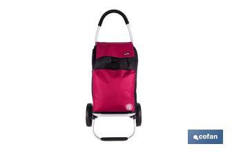 Carro de la compra plegable con 2 ruedas | Chasis de aluminio | Bolsa de 43 litros | Bolsillo para congelados | Disponible en varios colores - Cofan