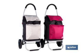 Carro de la compra plegable con 2 ruedas | Chasis de aluminio | Bolsa de 43 litros | Bolsillo para congelados | Disponible en varios colores - Cofan