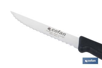 Pack de 25 cuchillos de cocina microdentados | Mango ergonómico | Hoja inoxidable de 10,5 cm - Cofan