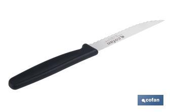 Pack de 25 cuchillos de cocina microdentados | Mango ergonómico | Hoja inoxidable de 10,5 cm - Cofan
