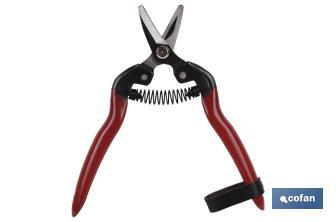 Pruning shears | High quality | Length: 165mm | Curved tip - Cofan