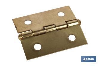 Hinges with flat end - Cofan