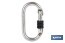 Safety carabiner | Safety buckle | Strength: 25kN | EN 362 | Class B | CAT. III - Cofan