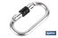 Safety carabiner | Safety buckle | Strength: 25kN | EN 362 | Class B | CAT. III - Cofan