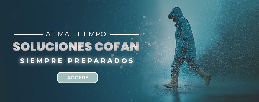 Productos para Días de Lluvia